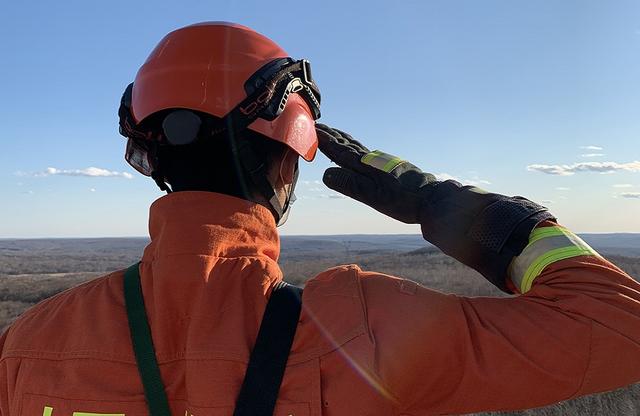 坚守在绿色林海中的火焰蓝