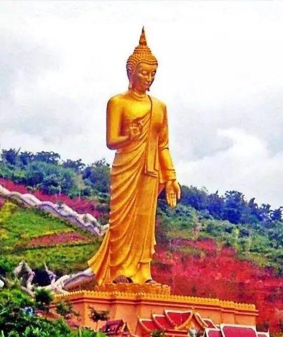 ��¶����񣬾����粻�編��