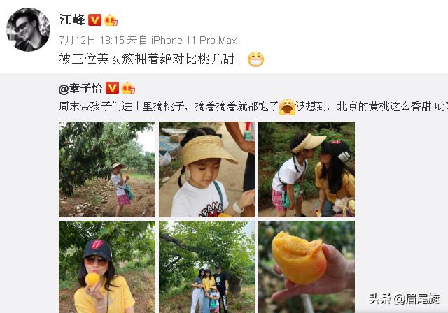 摩托车|汪峰骑三轮摩托车撞树 章子怡担心尖叫感动网友以后别再喷人家了