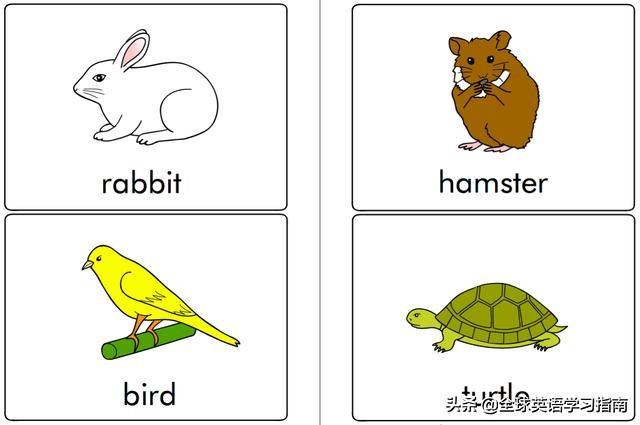 图片[10]-113张图让你记住所有动物类英语单词，分类汇总，建议收藏起来-笑傲英语网