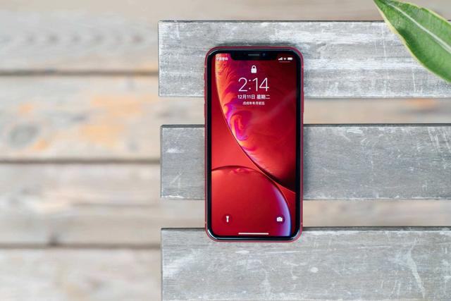 iPhone XR又火了，热度媲美iPhone SE，苹果这次良心了