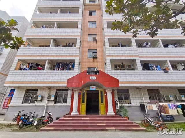 武汉科技大学，神一样的大学