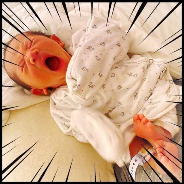 应采儿晒陈小春抱娃照，Hoho乖巧趴胸口一同赏景，画面超温馨