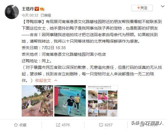 王珞丹找宠物鸭后续，偷鸭的人找到了，可发生