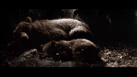 ����9.1�֣���ʵ�¼��ı࣬�ⲿ���ص�Ӱ���ҿ�һ�ο�һ��