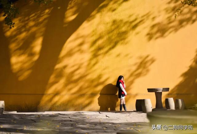 65岁陈道明再上热搜：“我劝你做个无用的人”