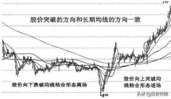 巴菲特点破股市：A股最会赚钱的50家公司，谁会