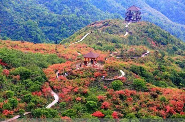 長(zhǎng)沙第一大美女原來(lái)長(zhǎng)這樣！數(shù)十萬(wàn)人跨省而來(lái)，只為看她一眼？