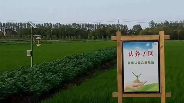 让“订单式”生态农业梦想成真