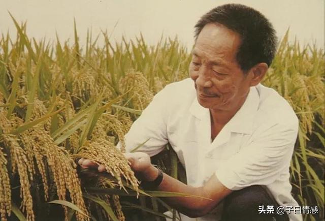 90岁袁隆平频上热搜，这3个女人功不可没