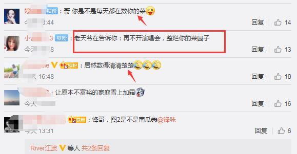 塌了|谢霆锋的菜园子塌了 损失惨重粉丝不安慰反大笑