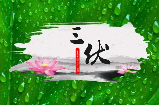 21日夏至，俗语“夏至三庚入伏”，啥意思？今年