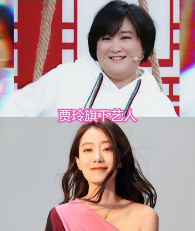 陈赫旗下艺人，贾玲旗下艺人，赵薇旗下艺人，