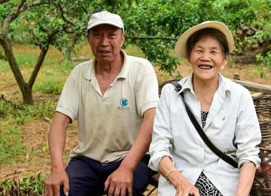 太行黄李 “邮”出深山