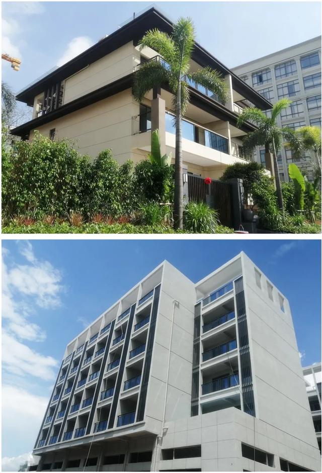 广西威壮集团7月月刊：加速度，稳发展，作贡献