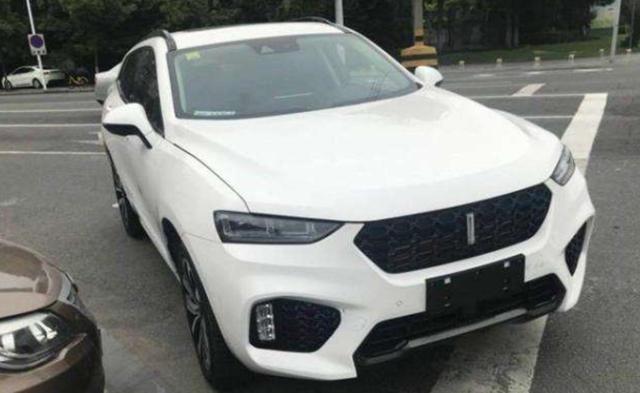长城这款“伪豪车”倒下了，50万气场顶配18万，30天才卖19辆