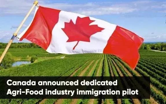 HL加拿大护照、低门槛加拿大雇主食品技术移民永居、加拿大枫叶卡
