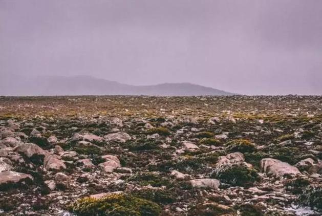 诸葛亮写给8岁儿子的一封家书，全篇86个字，道