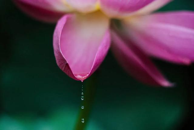 �� ���� ��