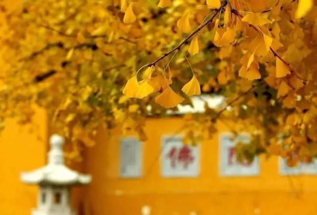 �������벻��˼��İ������վ���