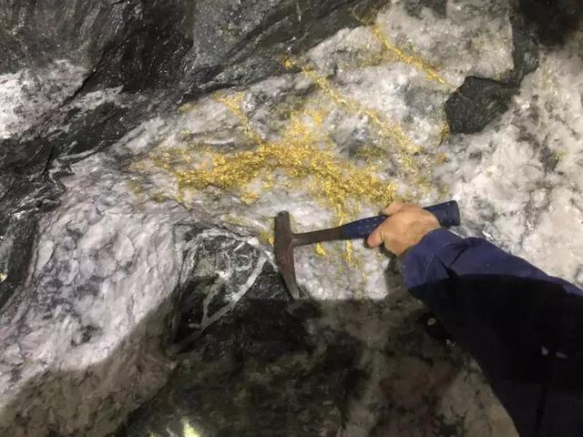 惊呆了！世界级大金矿被发现 到处都是金子，澳