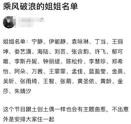 黄圣依带8个行李箱录《乘风破浪》，网友：富婆