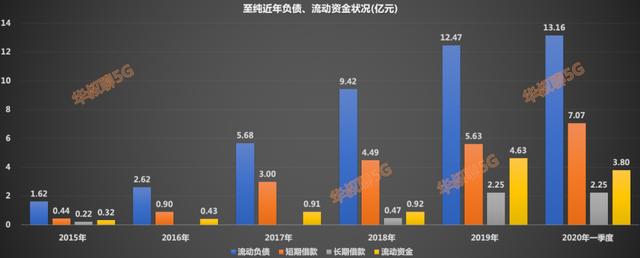 国内稀有龙头，未来潜力巨大