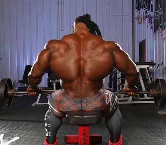 漂亮的背部肌肉，见背识人，你能认出几个呢？