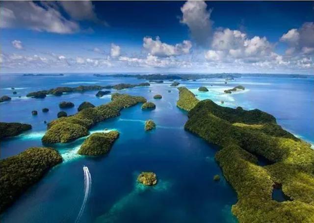 背叛我们后抱紧美国大腿，如今困难之时找上门