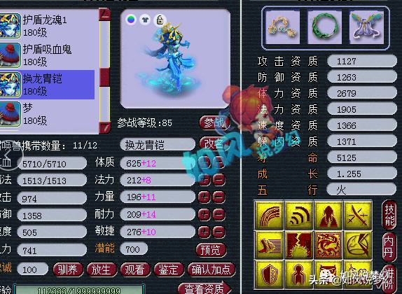 梦幻西游：千哥“指挥学院”招生，然总的8条龙魂护盾蛇全服第1