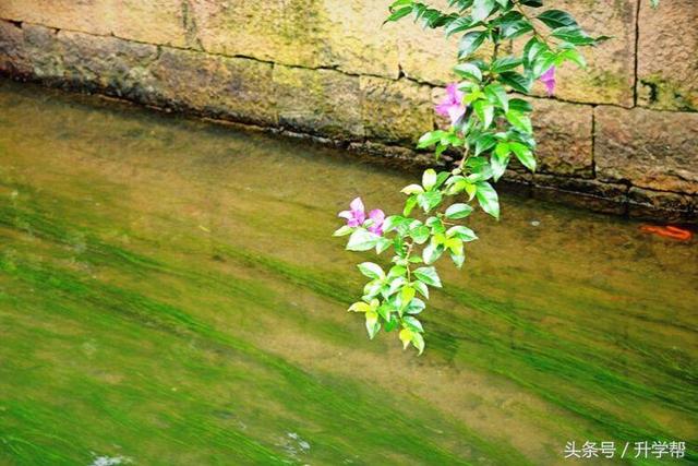 【游记】一路向西,心花怒放!