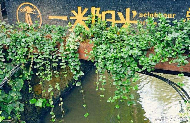 【游记】一路向西,心花怒放!