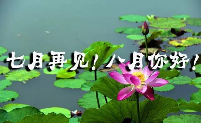 你好|再见7月你好8月的句子，新的八月，愿你事事顺利、幸福安康