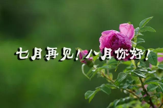 [你好]再见七月你好八月句子 亲爱的八月你好句子