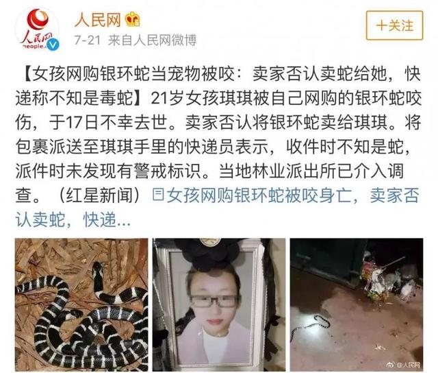女生網購銀環蛇