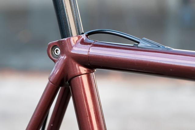 电变雏形 LOOK KG 176上的Mavic ZAP