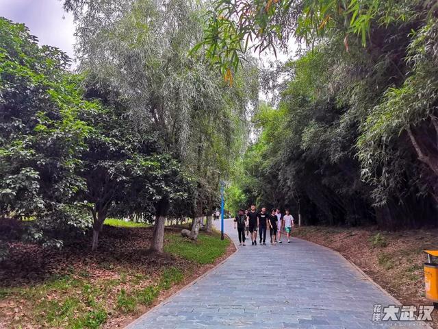 武汉科技大学，神一样的大学