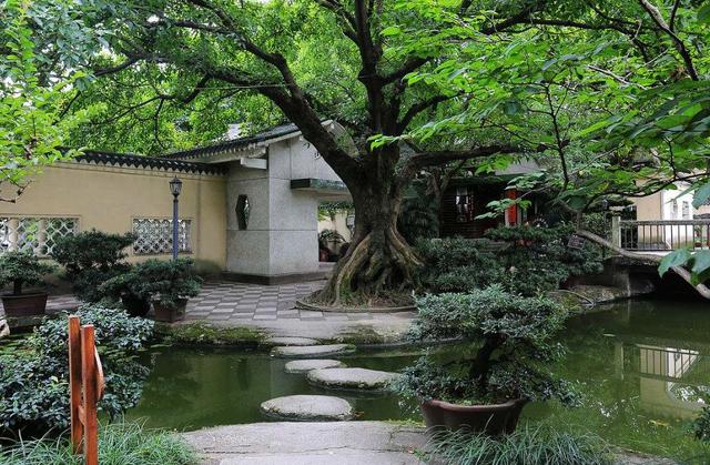 重庆旅游必打卡的几个地方，一个媲美千与千寻，一个览尽山城全景