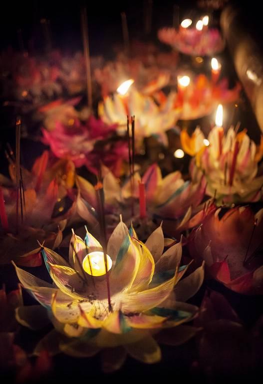 八月|七月，再见！八月，你好！祝你岁月无波澜，敬我余生不悲欢