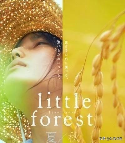 在你特别失落难过的时候，有没有哪一部电视剧或电影，能给你温暖