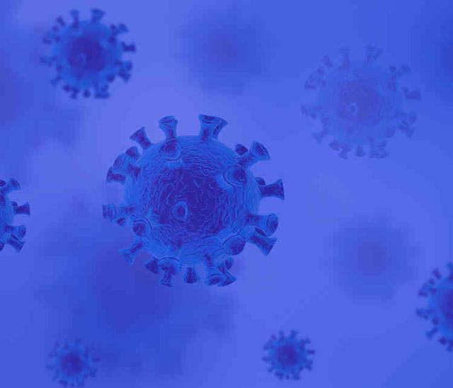 新发地毒株传播途径初步摸清，2种途径皆指向欧美，1栋楼成焦点