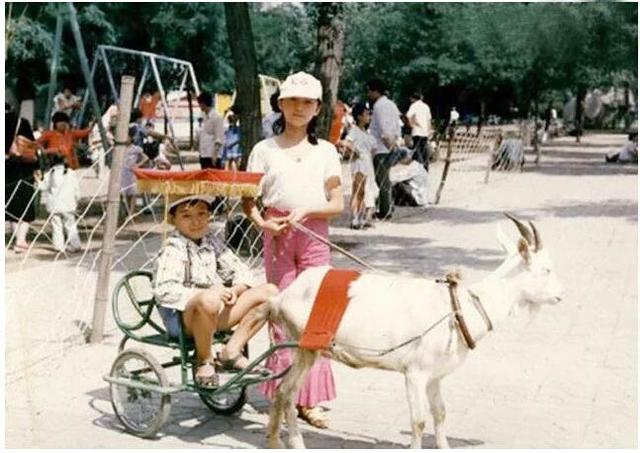 佟大为身后：卧床35年不能动弹的父亲，眼中常年