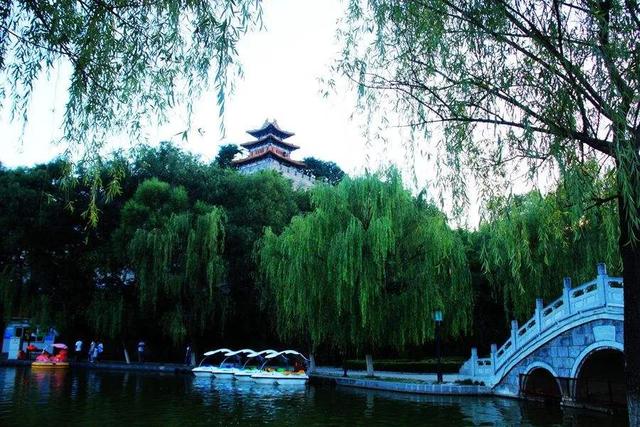 王者荣耀——平凉文旅战队招募