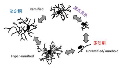 ������ʲô���ܳ���С����ϸ�����ܣ�