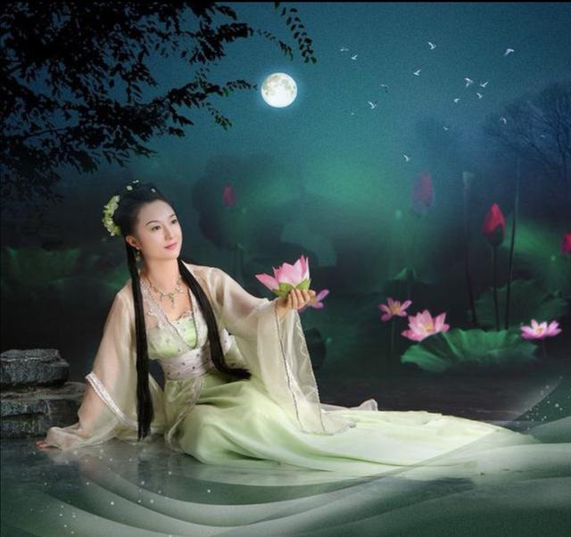 莲，一朵盛开的夏荷