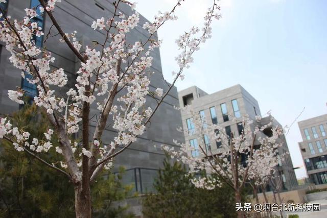 煙臺(tái)唯一現(xiàn)房現(xiàn)證花園獨(dú)棟獨(dú)“墅”一“幟”