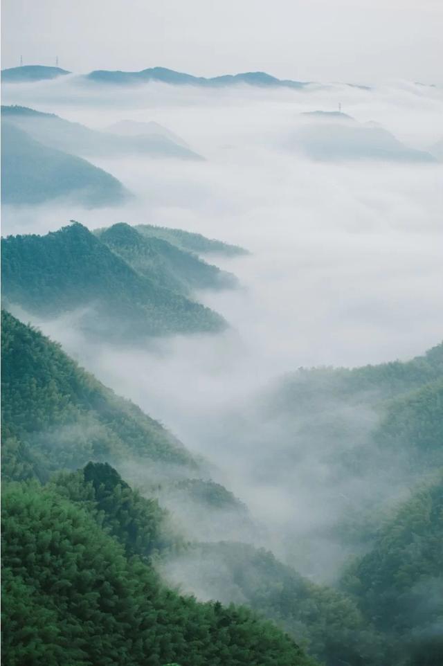 宁波自驾目的地推荐，这里不仅有云海还能看银河，实在是太仙了