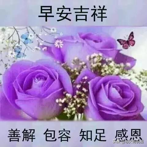 上好|最美微信早上好祝福语图片带字温馨漂亮早上好问候动态图