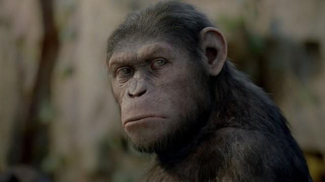 不亏为强大的战斗民族，坚持30年不终止，一心打穿地球