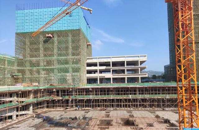 广西威壮集团7月月刊：加速度，稳发展，作贡献